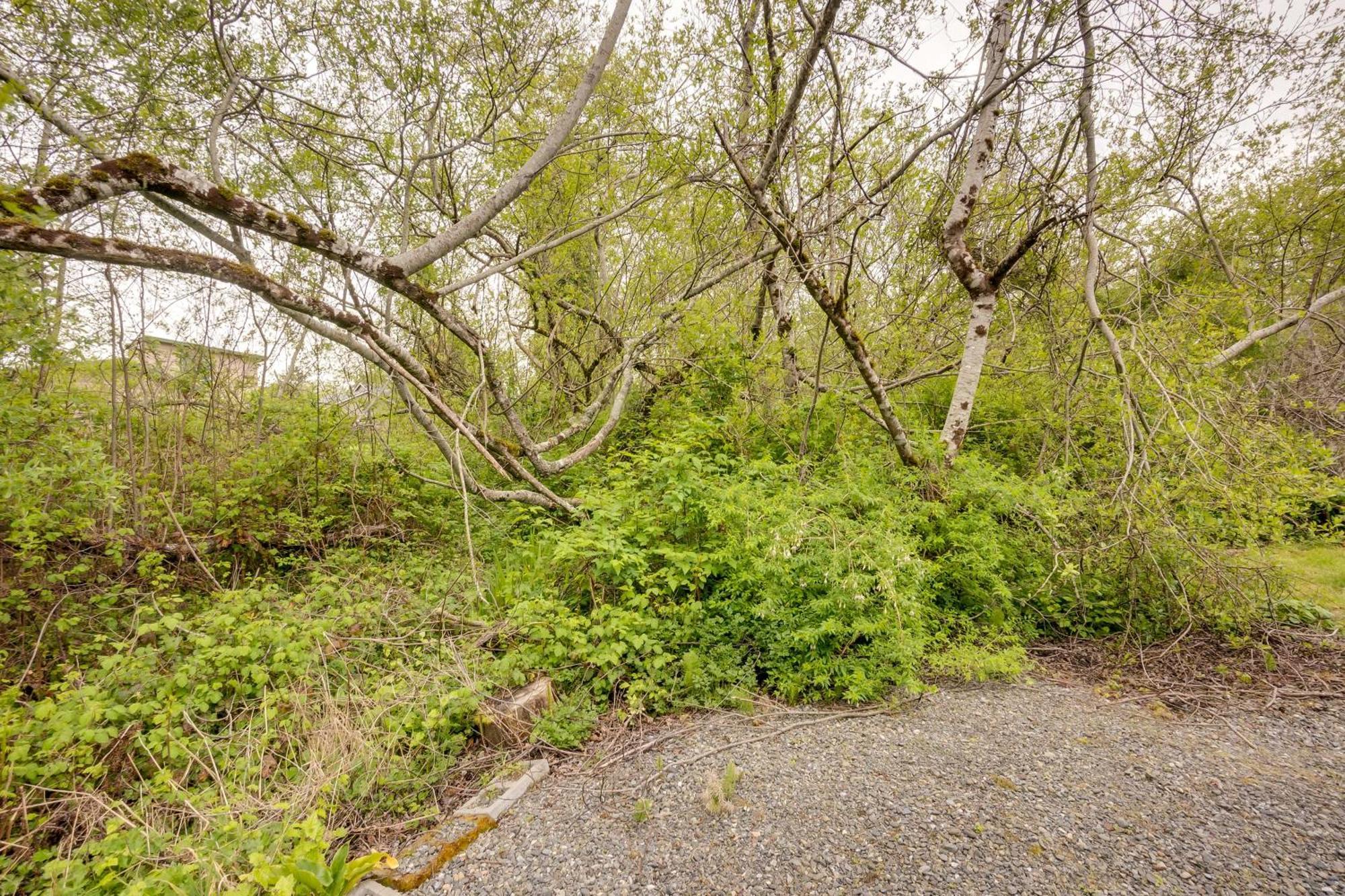 Soothing Studio With Lush Views 2 Mi To Beach! Smith River 外观 照片